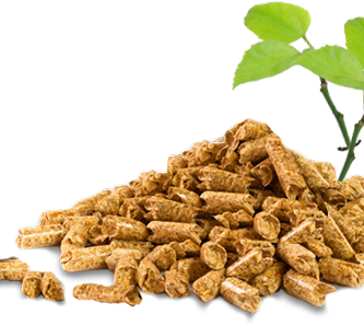 Pellets biocombustible